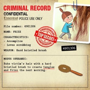 ESS_Criminal Record_Frizz