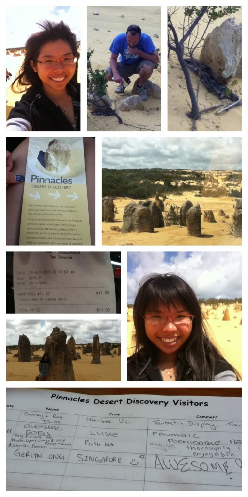 pinnacles